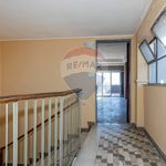 Affitto 5 camera casa di 162 m² in Catania