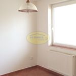 Rent 3 bedroom apartment of 80 m² in Šternberk