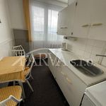 Rent 1 bedroom apartment of 35 m² in Chlumčany