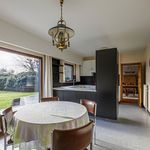 Rent 7 bedroom house of 347 m² in Meerhout