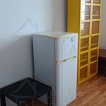Rent 2 bedroom apartment of 44 m² in Brno