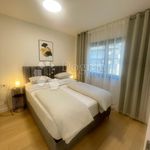 Najam 3 spavaće sobe stan od 55 m² u Zagreb
