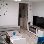 Rent 1 bedroom apartment of 40 m² in Épernay