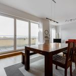 Rent 3 bedroom apartment of 100 m² in Potsdam