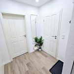 Rent 2 bedroom apartment of 43 m² in Essen