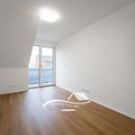 Rent 3 bedroom apartment of 75 m² in Brno