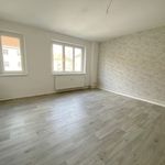 Rent 2 bedroom apartment of 61 m² in Magdeburg