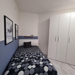 Rent 5 bedroom apartment in Padua