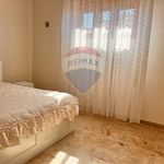 Rent 4 bedroom apartment of 110 m² in Paternò