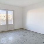 Rent 1 bedroom apartment in Avignon