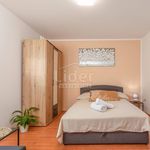 Najam 2 spavaće sobe stan od 40 m² u Primorsko-goranska