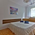 Rent 3 bedroom apartment of 61 m² in Katowice