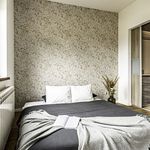 Wynajmij 4 sypialnię dom z 97 m² w Kostrzyn