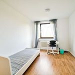 Rent a room in Düsseldorf