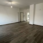 Affitto 4 camera appartamento di 160 m² in Milano