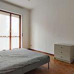 Rent a room in Canegrate