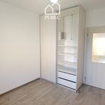 Rent 1 bedroom apartment of 59 m² in Plzeň