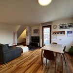 Rent 1 bedroom apartment of 66 m² in Padova