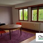 Rent 1 bedroom apartment in Haguenau