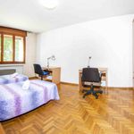 Rent 4 bedroom student apartment of 130 m² in Venezia