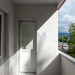 Rent 3 bedroom apartment of 43 m² in Genève