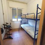 Rent 3 bedroom apartment of 65 m² in Pomezia