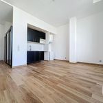 Rent 1 bedroom apartment of 34 m² in Saint-Yaguen
