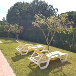 Rent 2 bedroom apartment of 80 m² in Pinhal do Concelho