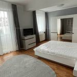 Rent 1 bedroom apartment of 42 m² in Nyíregyháza
