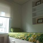 Alquilar 3 dormitorio apartamento en Vigo