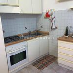 Rent 1 bedroom apartment of 40 m² in Macerata