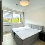 Miete 2 Schlafzimmer wohnung von 57 m² in Chemnitz