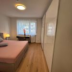 Rent 2 bedroom apartment of 85 m² in München