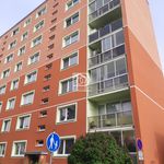 Rent 3 bedroom apartment of 72 m² in Česká Lípa