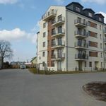 Rent 2 bedroom apartment of 40 m² in Mława