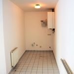Rent 1 bedroom apartment of 175 m² in Linz