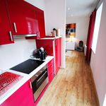 Rent 1 bedroom apartment of 45 m² in Magdeburg