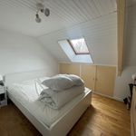 Rent 3 bedroom house of 92 m² in Monteneuf