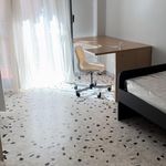 Rent 4 bedroom apartment in Napoli