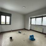 Rent 3 bedroom house of 176 m² in Kluisbergen