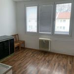 Rent 1 bedroom apartment of 41 m² in Jindřichův Hradec
