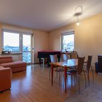 Rent 3 bedroom apartment of 72 m² in Kraków