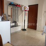 Rent 4 bedroom apartment of 100 m² in Fossano