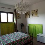 Affitto 3 camera casa di 452 m² in Capalbio