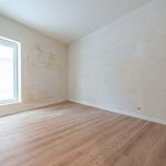 Rent 2 bedroom apartment of 128 m² in Wielsbeke