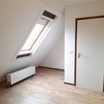 Appartement de 33 m² avec 3 chambre(s) en location à Namur
