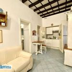 Rent 2 bedroom apartment of 37 m² in Rome