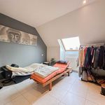 Rent 3 bedroom apartment in Kruisem