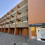 Rent 2 bedroom apartment of 85 m² in Nijmegen