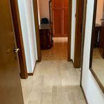 Affitto 4 camera appartamento di 110 m² in Bologna